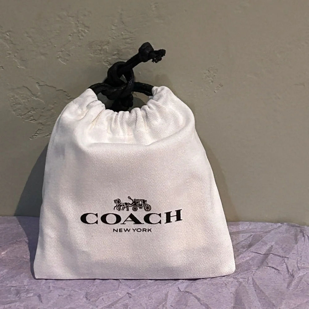 COACH Signature Cherry Drop Earrings Titanium With Multicolored Stone Accents - Picture 8 of 10